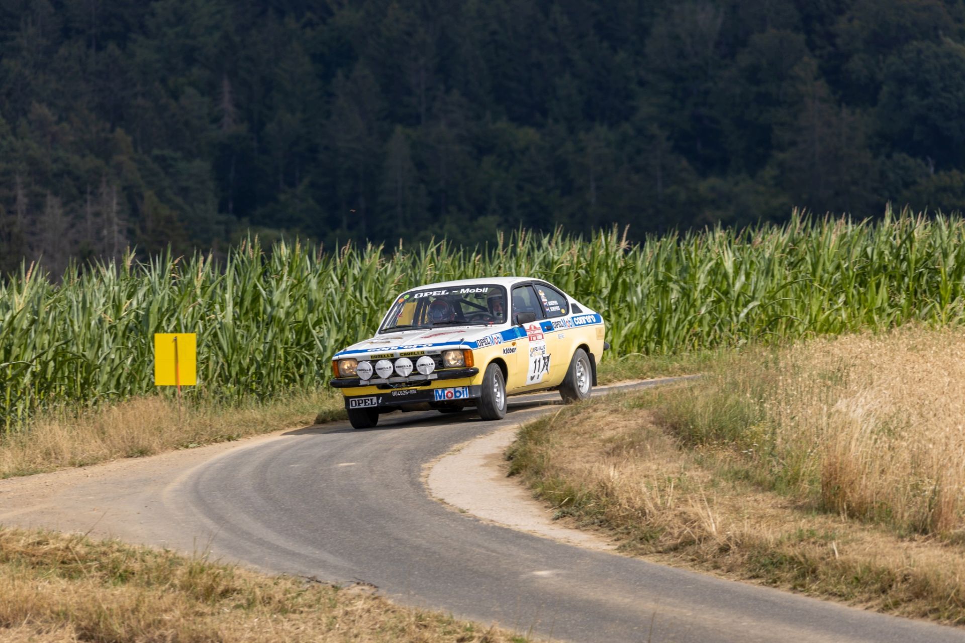3B9A7130 (2)